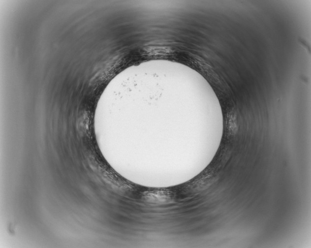 X0000102270567200808151907