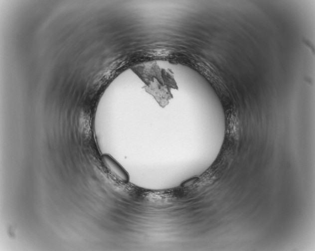 X0000102270568200808151907