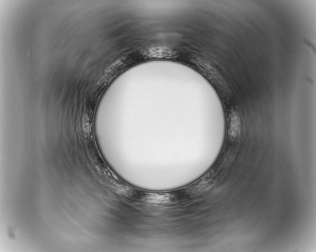 X0000102270569200808151907