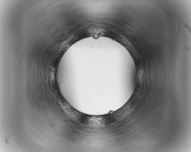 X0000102270570200808151907