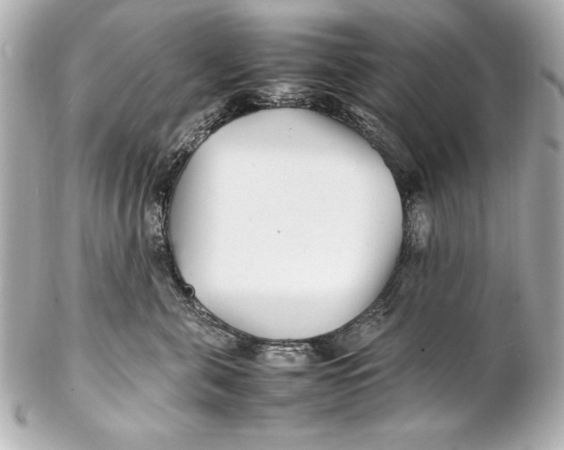 X0000102270571200808151907