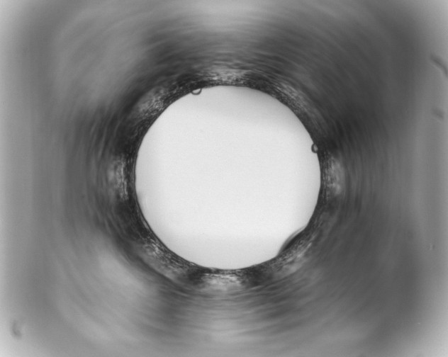 X0000102270572200808151907