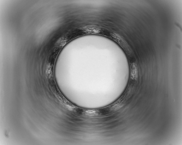 X0000102270573200808151907