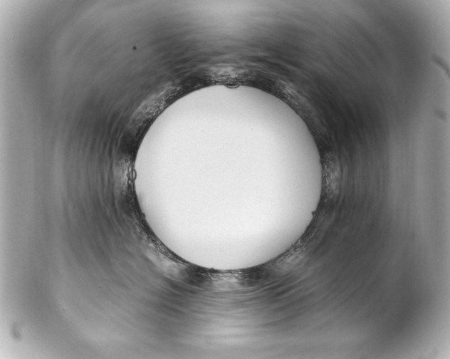 X0000102270574200808151907