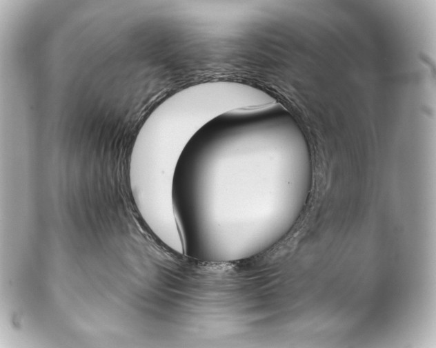 X0000102270576200808151907