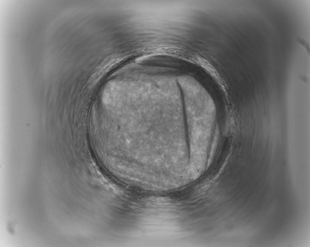 X0000102270577200808151906