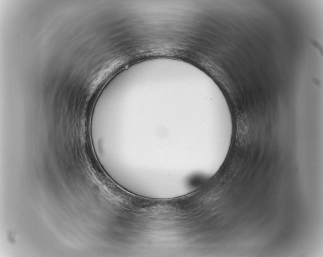 X0000102270578200808151906