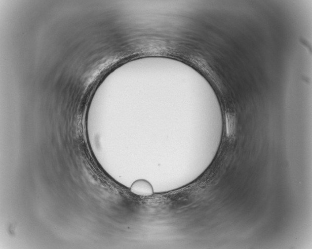 X0000102270579200808151906