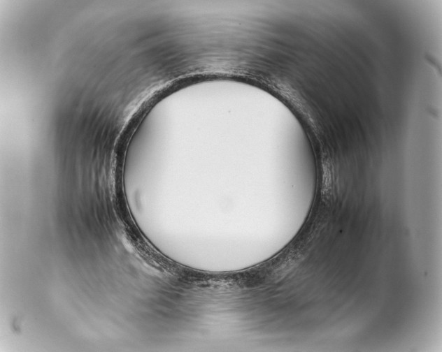 X0000102270580200808151906