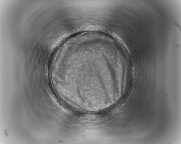 X0000102270581200808151906