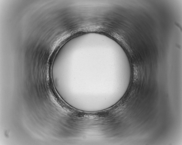 X0000102270582200808151906