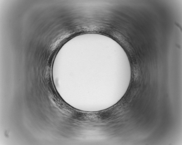 X0000102270583200808151906