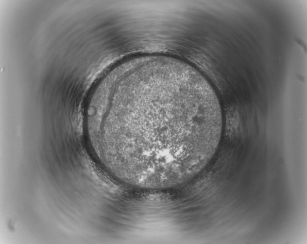 X0000102270584200808151906