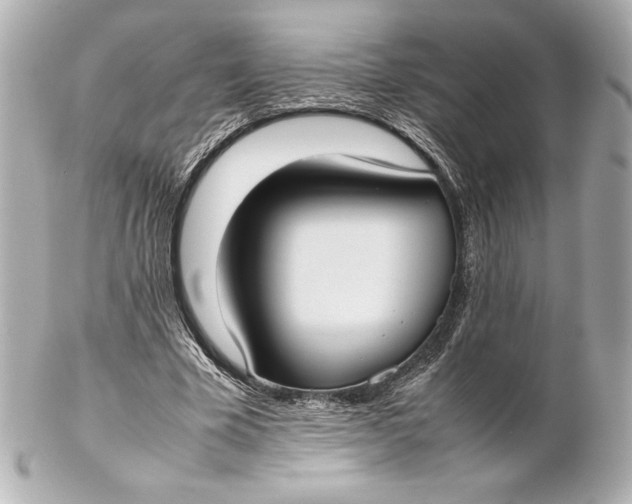 X0000102270585200808151906