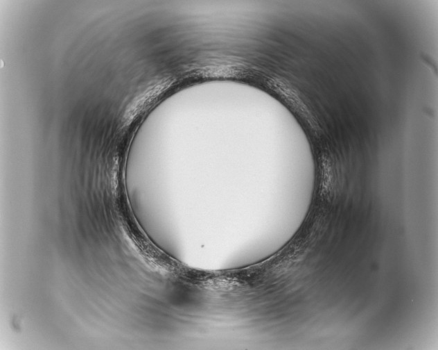 X0000102270586200808151906