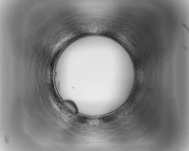 X0000102270587200808151906