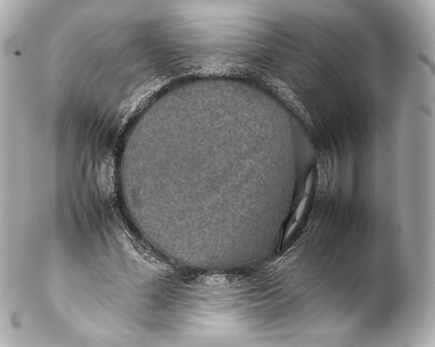 X0000102270588200808151906