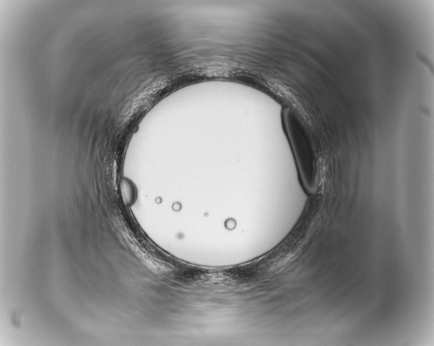 X0000102270589200808151906