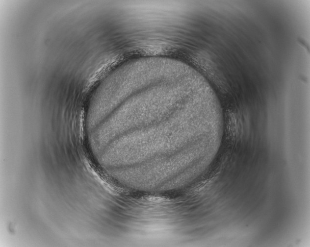 X0000102270590200808151906