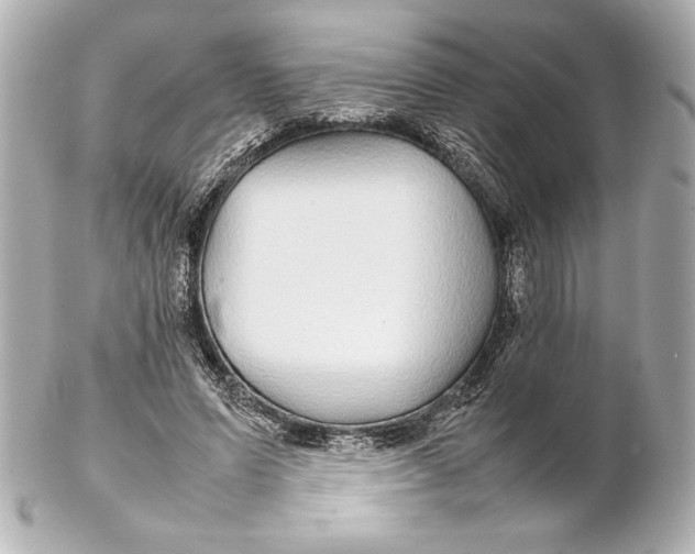 X0000102270591200808151906