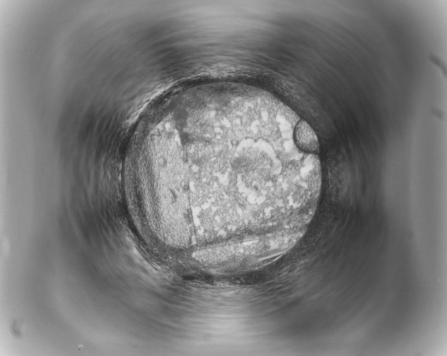 X0000102270592200808151906