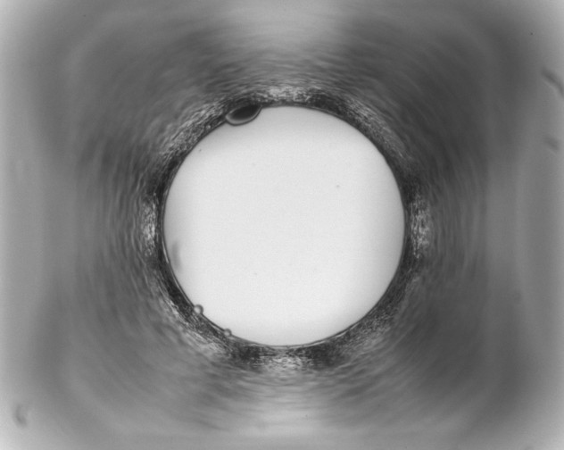 X0000102270593200808151906