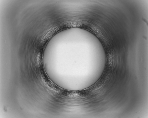 X0000102270594200808151906