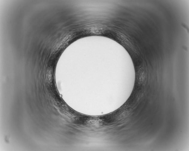 X0000102270595200808151906