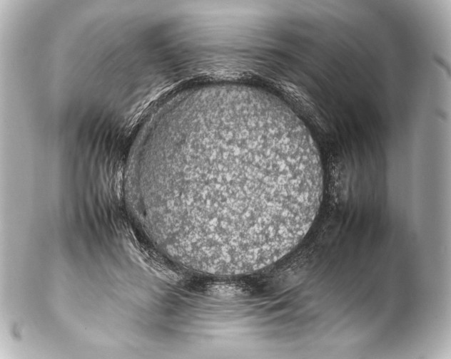 X0000102270596200808151906