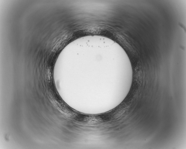 X0000102270597200808151906