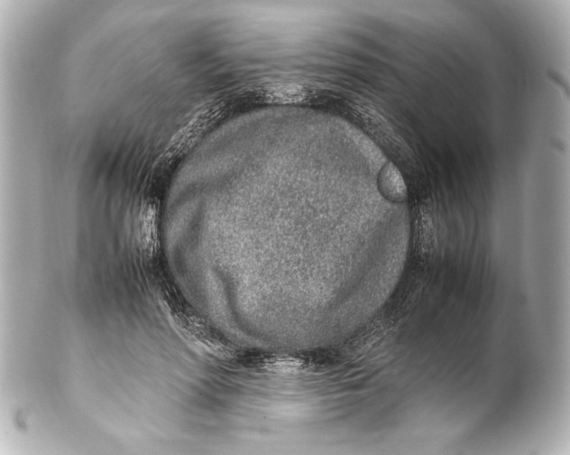 X0000102270598200808151906