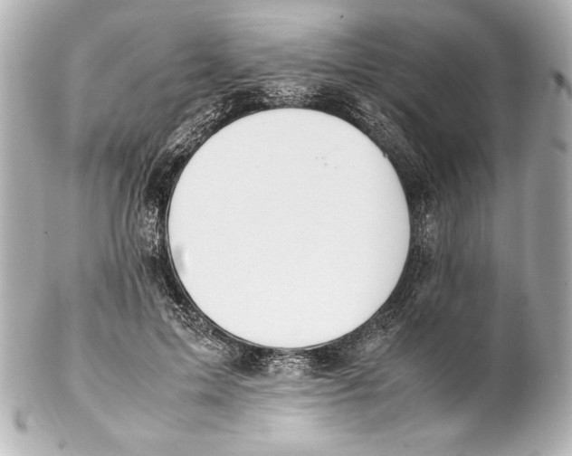 X0000102270599200808151906