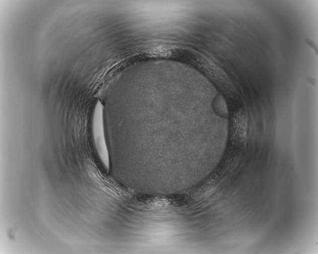 X0000102270600200808151906