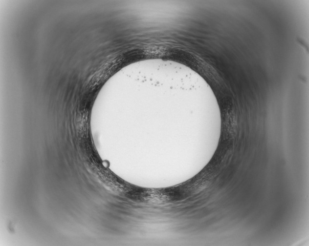 X0000102270601200808151906