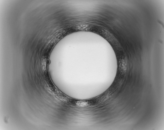 X0000102270602200808151906