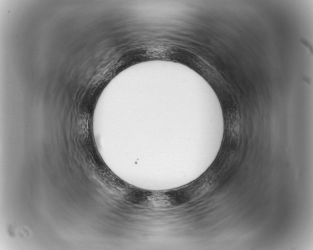 X0000102270603200808151906