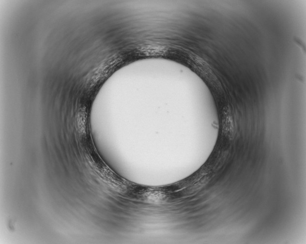 X0000102270604200808151906