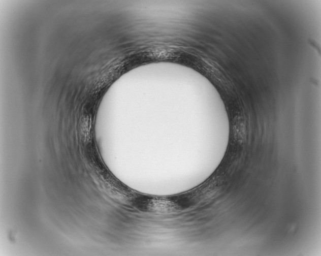 X0000102270605200808151906