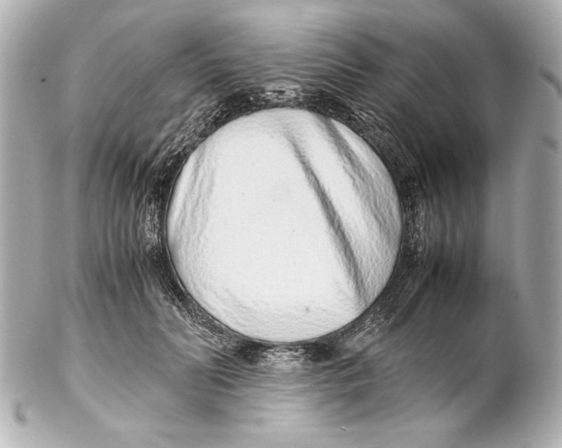 X0000102270606200808151906