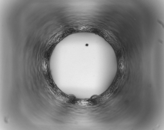 X0000102270607200808151906