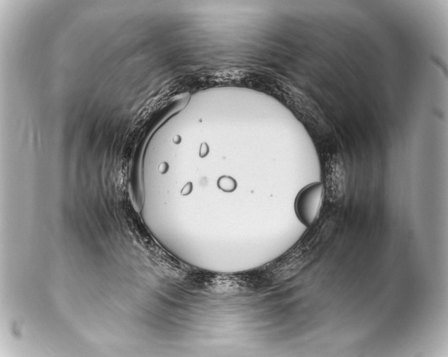 X0000102270608200808151906