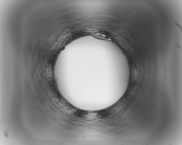 X0000102270609200808151906