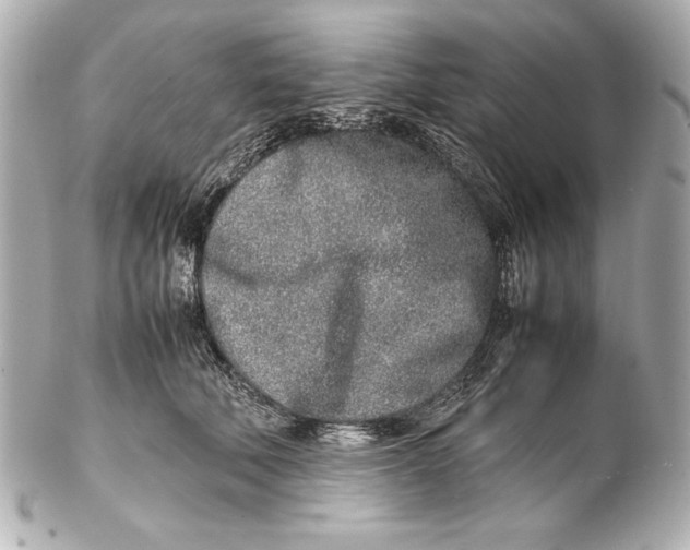 X0000102270610200808151906