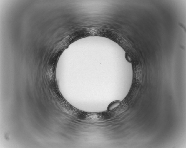 X0000102270611200808151906