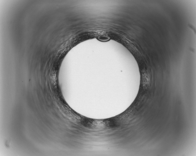 X0000102270613200808151906