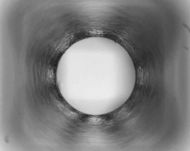 X0000102270614200808151906