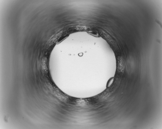 X0000102270616200808151906