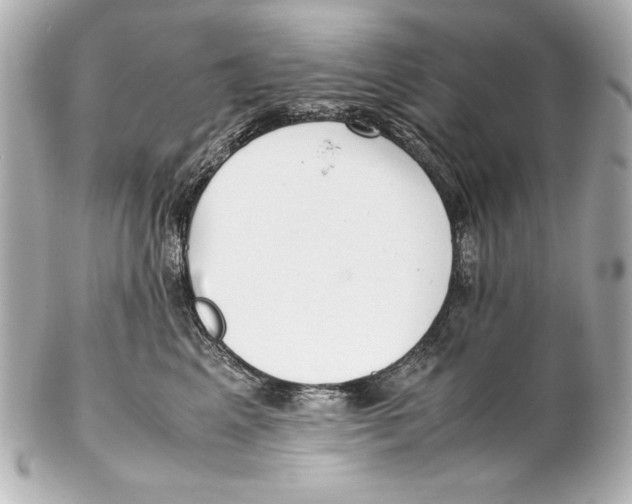 X0000102270617200808151906