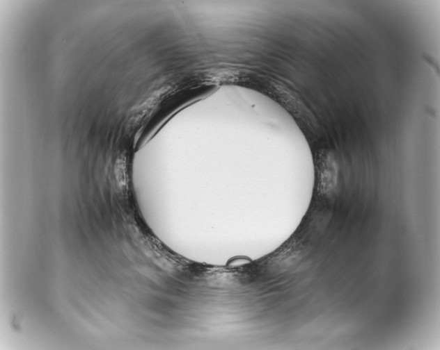 X0000102270620200808151906