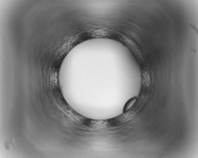 X0000102270621200808151906